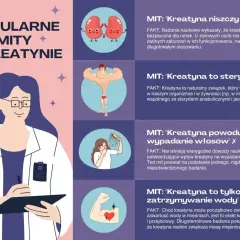 Czy kreatyna jest zdrowa? Grafika obala mity: nie niszczy nerek, nie jest sterydem, nie powoduje łysienia ani tylko zatrzymywania wody.