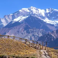 Aconcagua, najwyższy szczyt w Ameryce Południowej, góruje nad surowym krajobrazem. Ścieżka z drewnianym ogrodzeniem prowadzi przez suchą trawę.