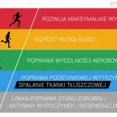 Różne poziomy wysiłku i ich efekty: od maksymalnej wytrzymałości i szybkości po regenerację. Ćwiczenia aerobowe w zależności od intensywności.