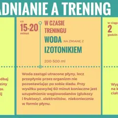 Nawadnianie przed, w trakcie i po treningu. Picie wody to klucz do regeneracji i wydajności. Woda uzupełnia płyny, izotoniki i hipertoniki pomagają w dłuższym wysiłku.