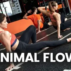 Trzy osoby ćwiczą Animal Flow, dynamiczny trening inspirowany ruchem zwierząt. Płynne ruchy, jak w vinyasa jodze, budują siłę i gibkość.