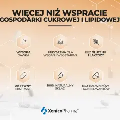 Berberyna na co pomaga? Wsparcie gospodarki cukrowej i lipidowej. Wysoka dawka, aktywny ekstrakt, 100% naturalny skład. Bez glutenu, laktozy, barwników i konserwantów.