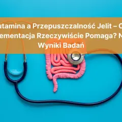 Model jelit i stetoskop. Czy glutamina co to i suplementacja pomagają na przepuszczalność jelit? Wyniki badań.