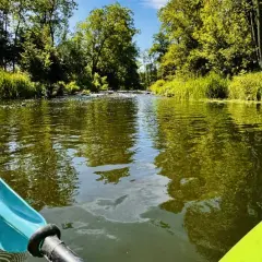 Kajaki Małopolska: Najlepsze trasy i praktyczny przewodnik