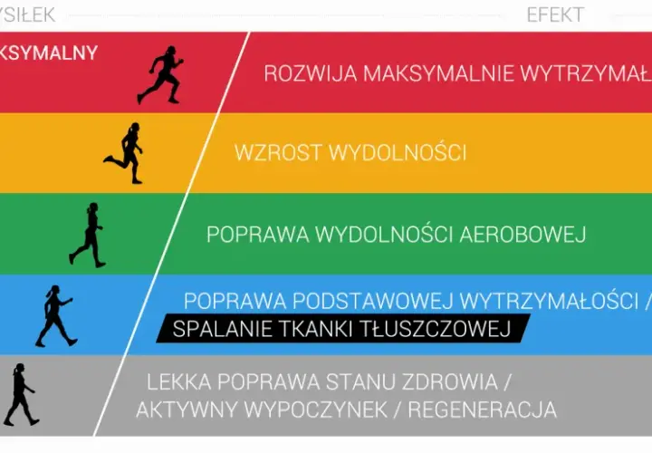Różne poziomy wysiłku i ich efekty: od maksymalnej wytrzymałości i szybkości po regenerację. Ćwiczenia aerobowe w zależności od intensywności.
