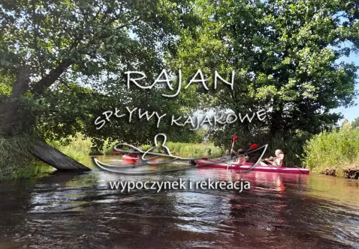 Spływy kajakowe Obrocz: Trasy, Ceny i Przewodnik 2026