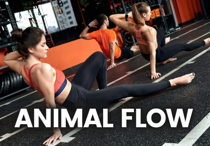 Trzy osoby ćwiczą Animal Flow, dynamiczny trening inspirowany ruchem zwierząt. Płynne ruchy, jak w vinyasa jodze, budują siłę i gibkość.