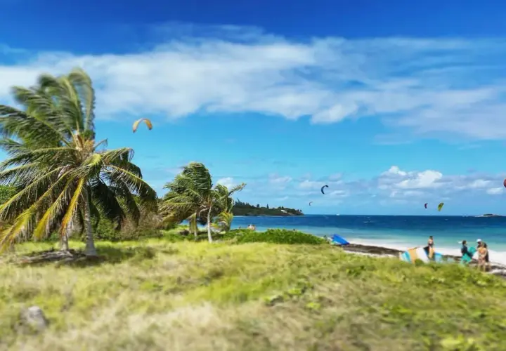 Palmy kołyszą się na wietrze, a na błękitnym morzu widać kolorowe latawce. Różnorodne kierunki wiatru pozwalają na ekscytujący kitesurfing.
