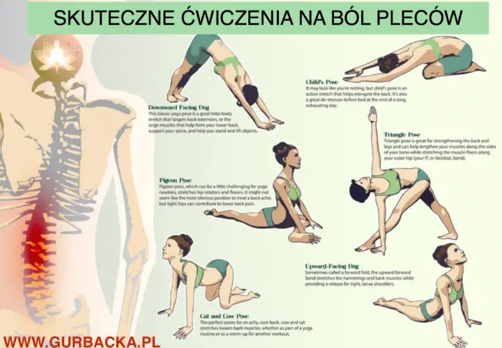Ilustracja pokazuje pozycje jogi jako ćwiczenia na ból pleców: pies z głową w dół, gołąb, pozycja dziecka, trójkąt, krowa i kot.