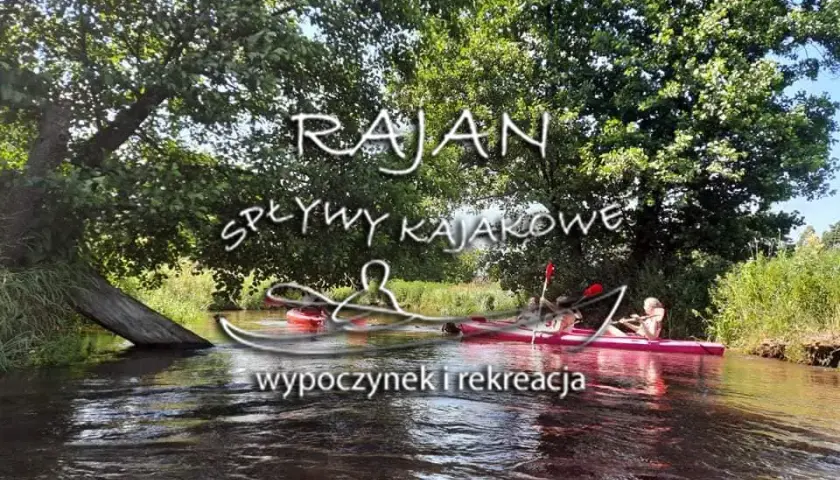 Spływy kajakowe Obrocz: Trasy, Ceny i Przewodnik 2026