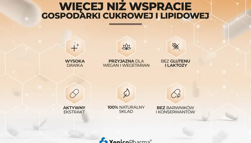 Berberyna na co pomaga? Wsparcie gospodarki cukrowej i lipidowej. Wysoka dawka, aktywny ekstrakt, 100% naturalny skład. Bez glutenu, laktozy, barwników i konserwantów.