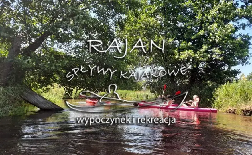 Spływy kajakowe Obrocz: Trasy, Ceny i Przewodnik 2026