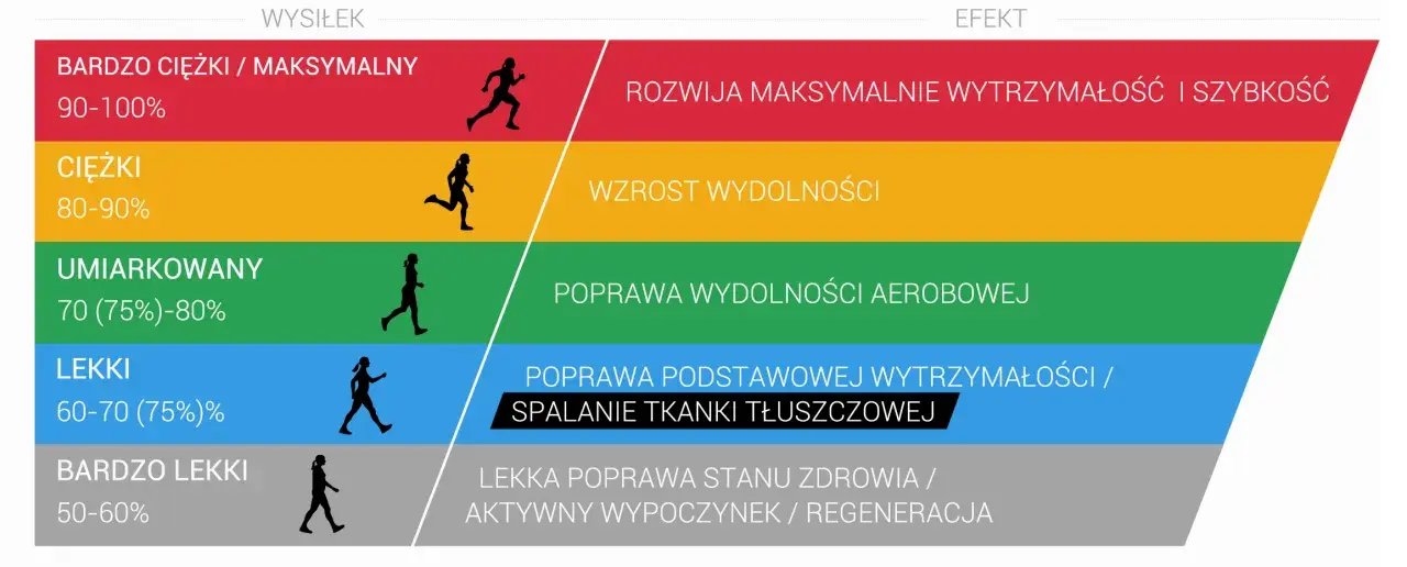 Różne poziomy wysiłku i ich efekty: od maksymalnej wytrzymałości i szybkości po regenerację. Ćwiczenia aerobowe w zależności od intensywności.