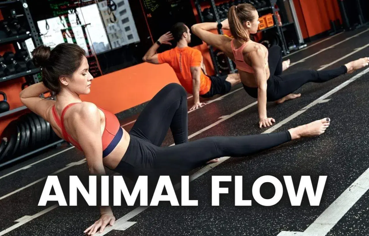 Trzy osoby ćwiczą Animal Flow, dynamiczny trening inspirowany ruchem zwierząt. Płynne ruchy, jak w vinyasa jodze, budują siłę i gibkość.