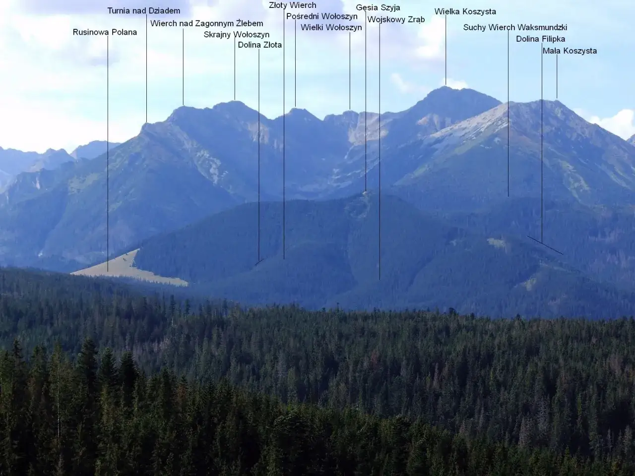 Widok na Tatry z lasem w pierwszym planie. Na zboczu gór widać Rusinową Polanę, a dalej szczyty takie jak Gęsia Szyja i Wielka Koszysta.