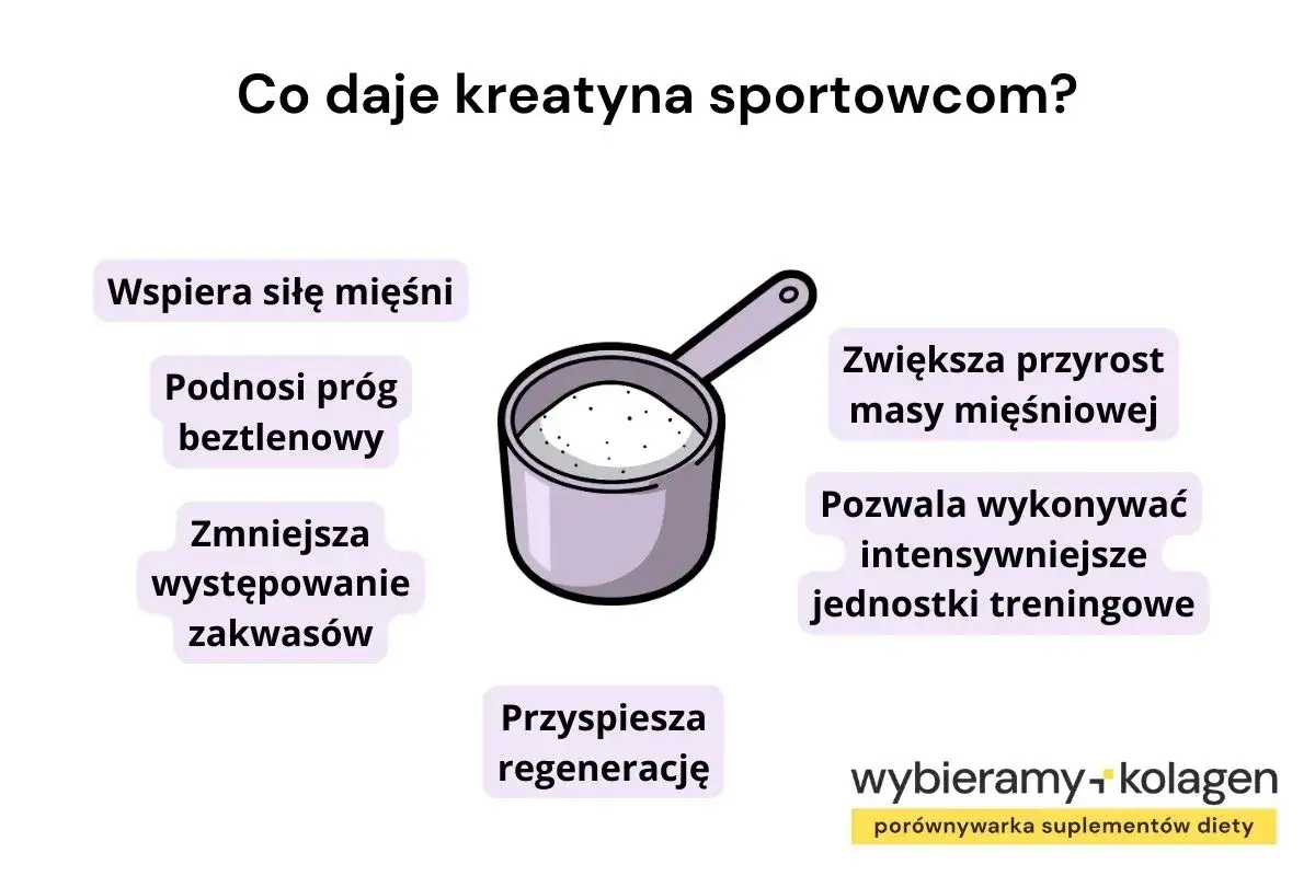 Kreatyna w proszku wspiera siłę mięśni, zwiększa masę, pozwala na intensywniejsze treningi i przyspiesza regenerację. Dowiedz się, jak brać kreatynę.